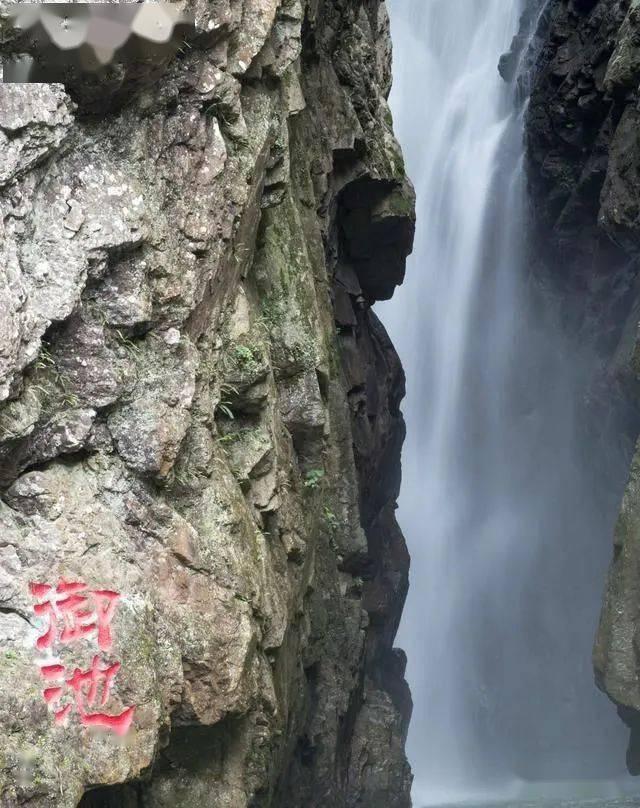 莉莉逃脱记